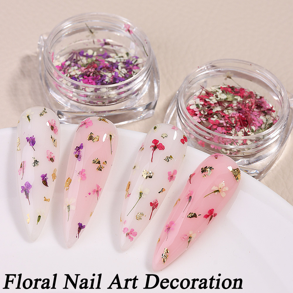 Mixed Colors Gypsophila False  - đánh giá và giá Dried Flower Bulk