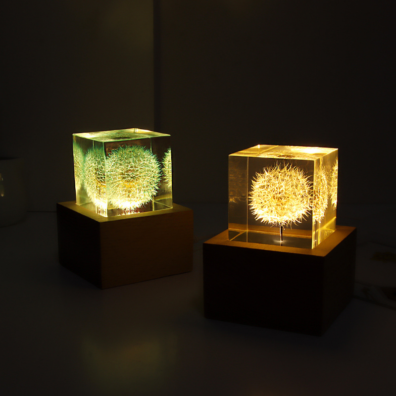 Dandelion preserved fresh flow - đánh giá và giá Flower Preservation Resin