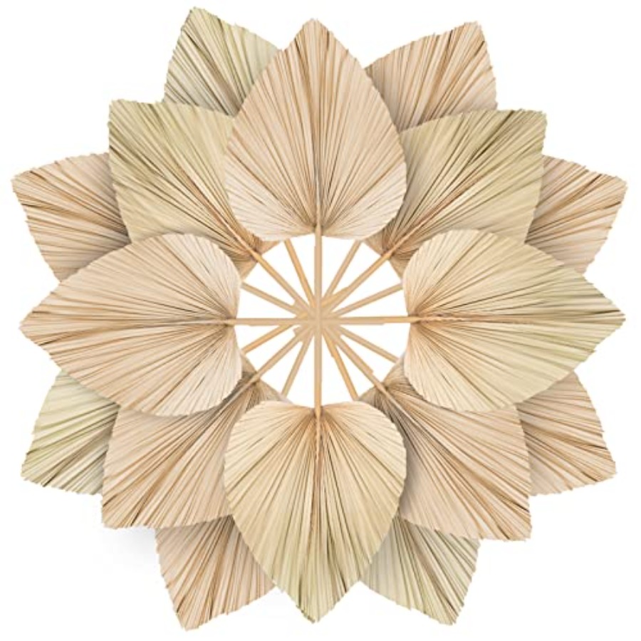10 Large Bulk Boho Dried Palm  - đánh giá và giá Dried Flower Bulk