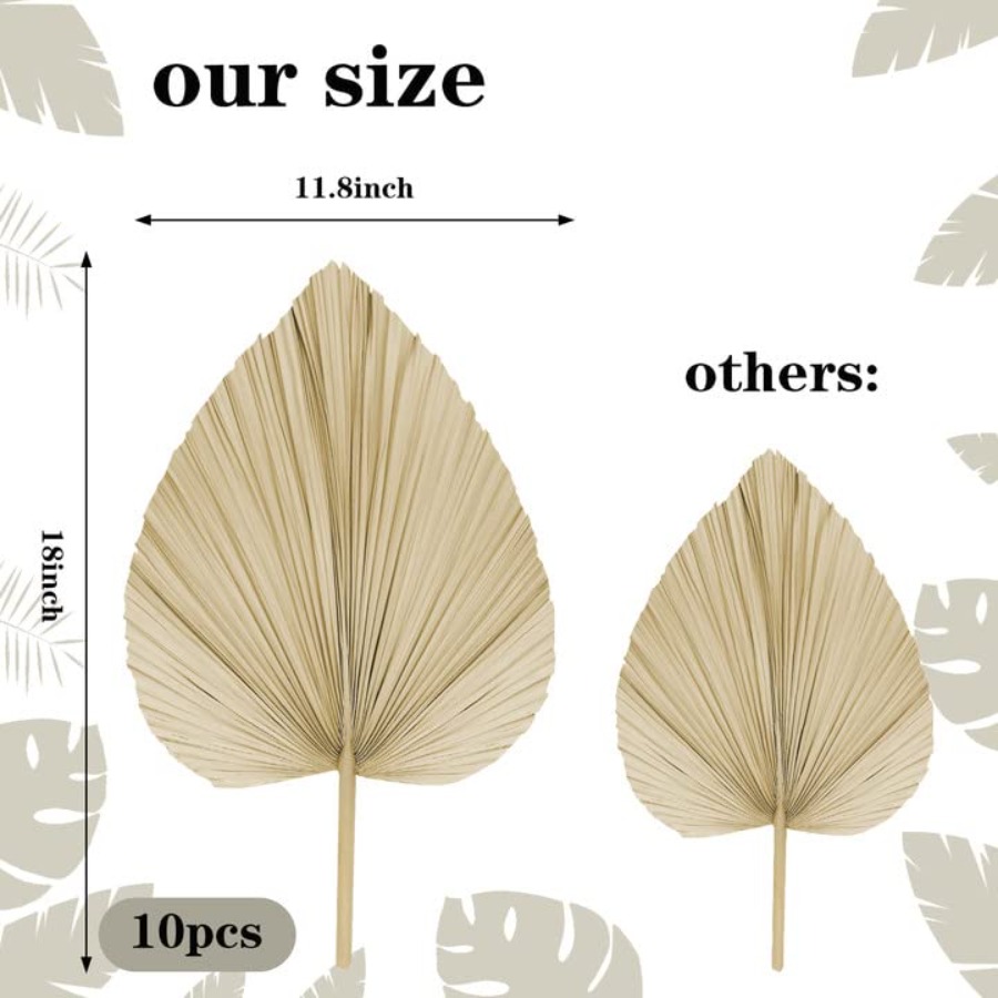 10 Large Bulk Boho Dried Palm  - đánh giá và giá Dried Flower Bulk