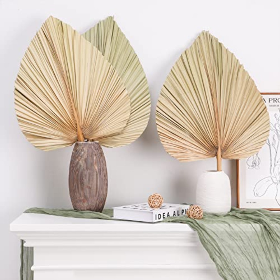 10 Large Bulk Boho Dried Palm  - đánh giá và giá Dried Flower Bulk