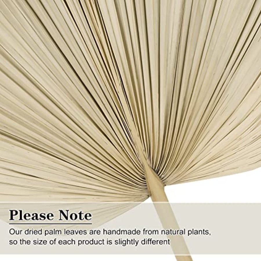 10 Large Bulk Boho Dried Palm  - đánh giá và giá Dried Flower Bulk