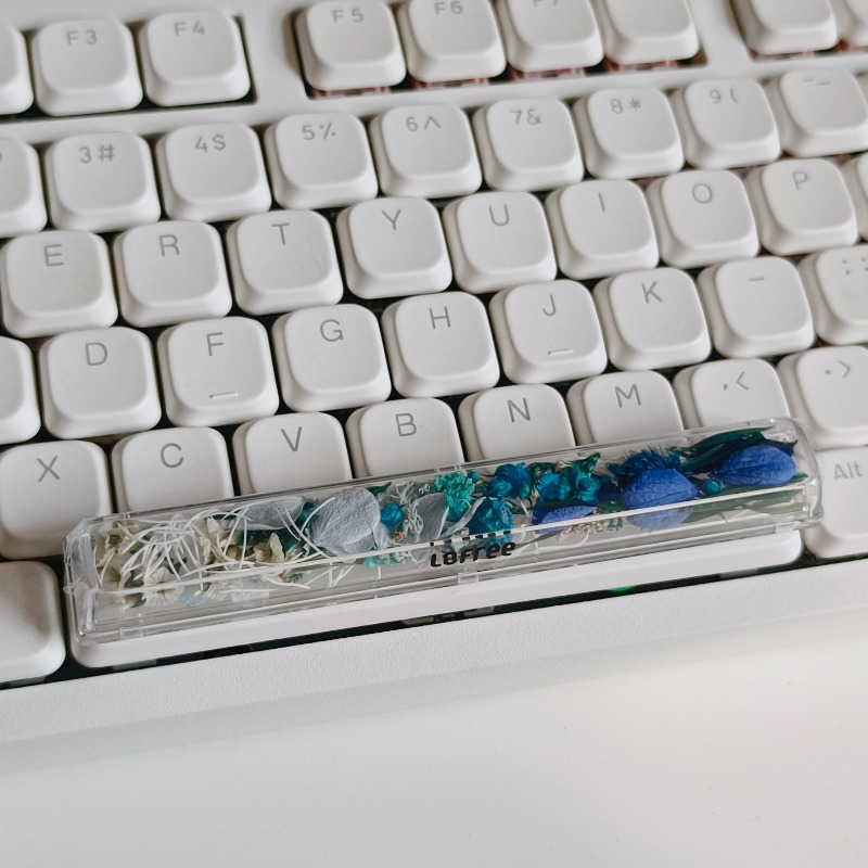 Spacebar Keycap Custom Preserv - đánh giá và giá Flower Preservation Resin