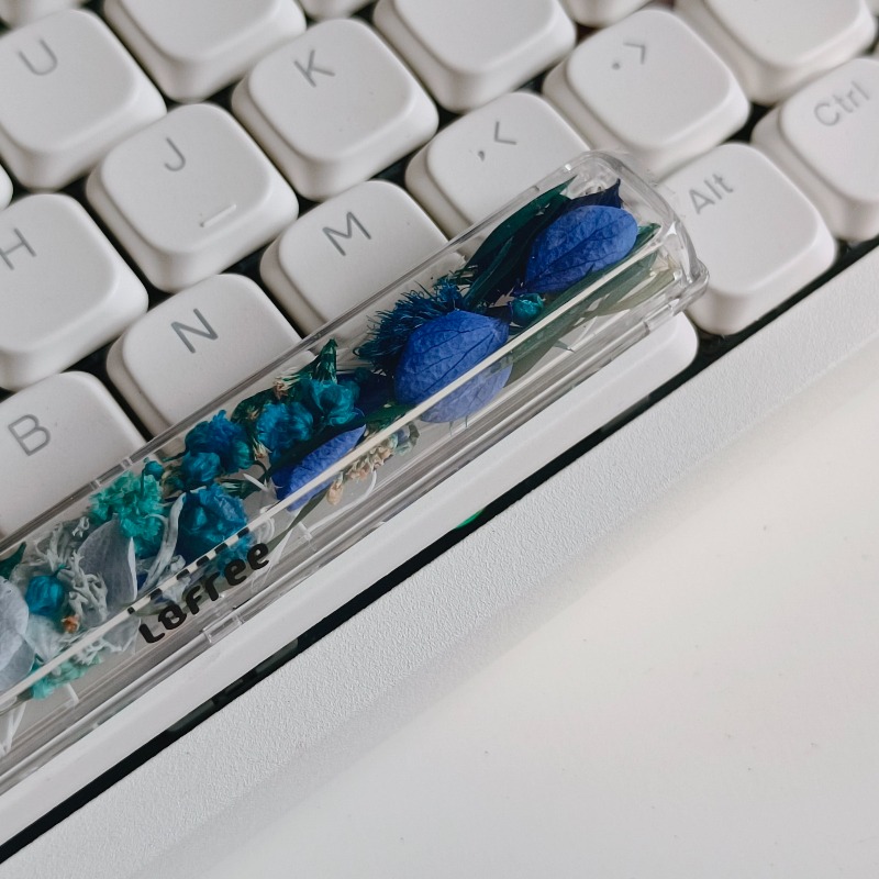 Spacebar Keycap Custom Preserv - đánh giá và giá Flower Preservation Resin