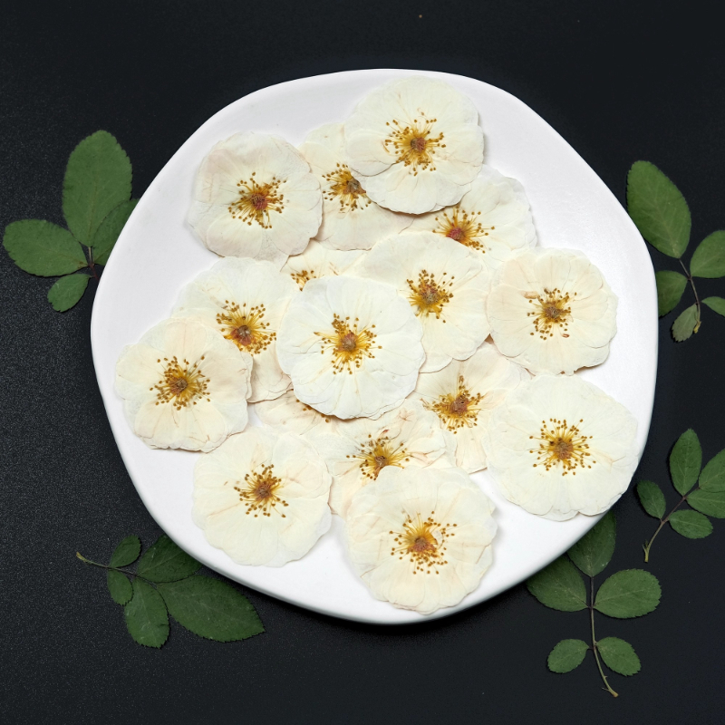 6pcs,9pcs,Nature White Rose Pr - đánh giá và giá Dried Flower Bulk
