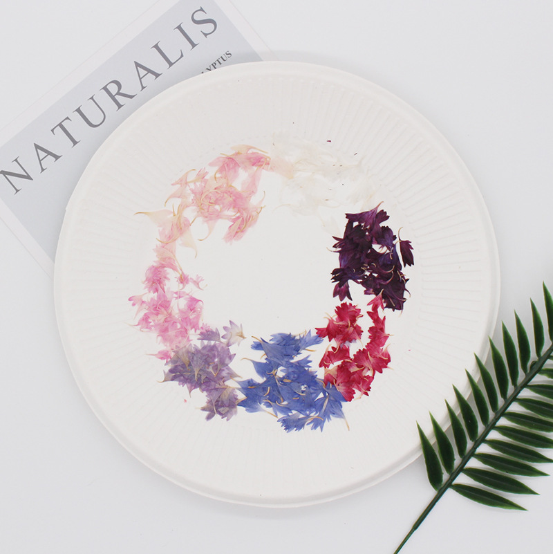 20 Plant Specimens, Cornflower - đánh giá và giá Resin Jewelry Kit